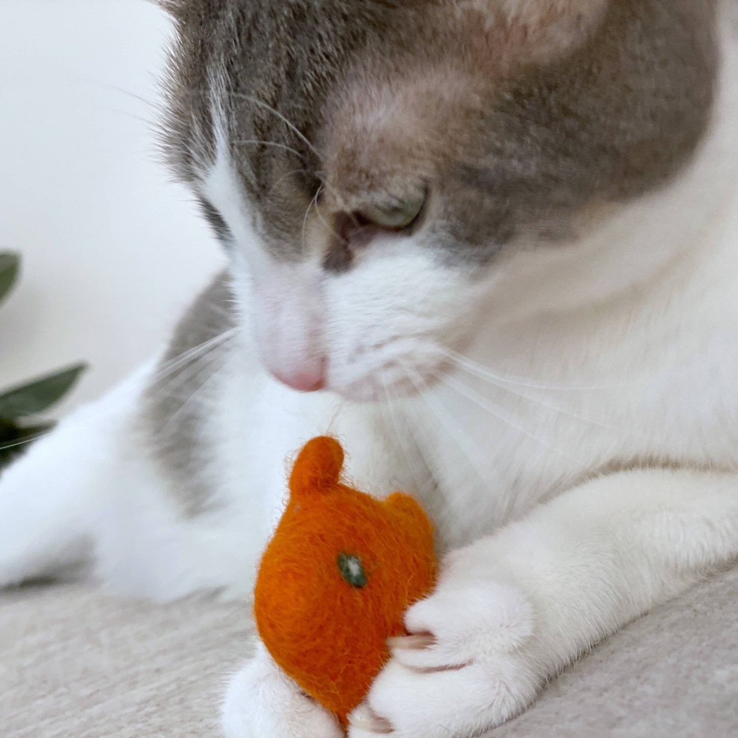 Wool Felt Cat Toy | Eco-friendly and Biodegradable