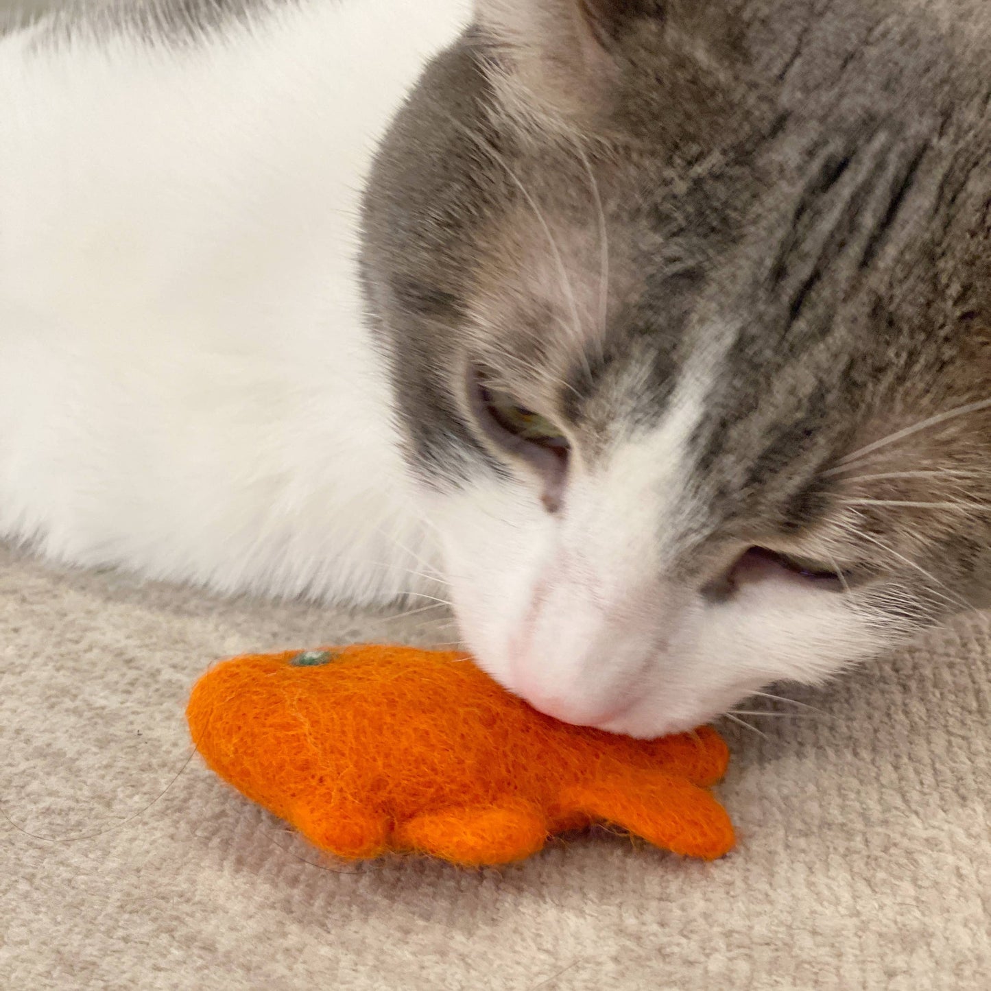 Wool Felt Cat Toy | Eco-friendly and Biodegradable