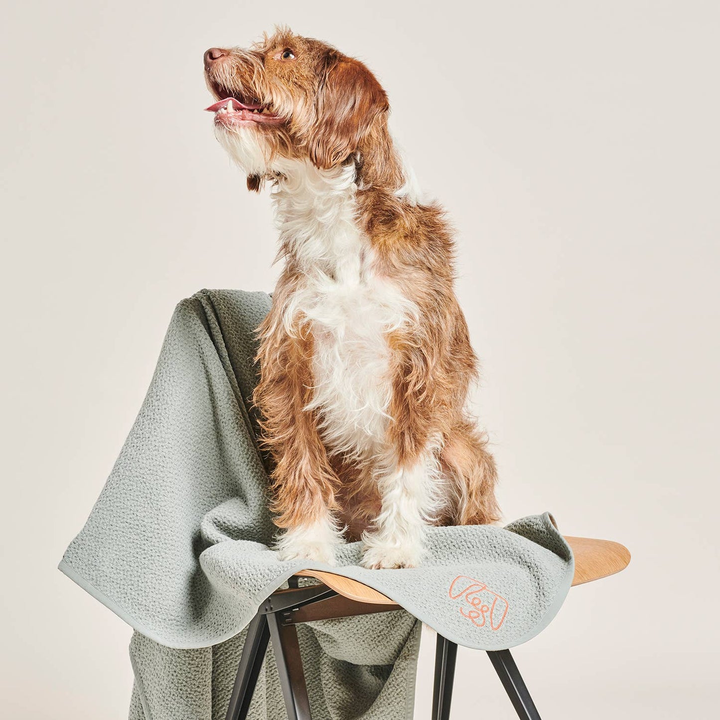 Organic-Cotton Dog Blanket - Grey