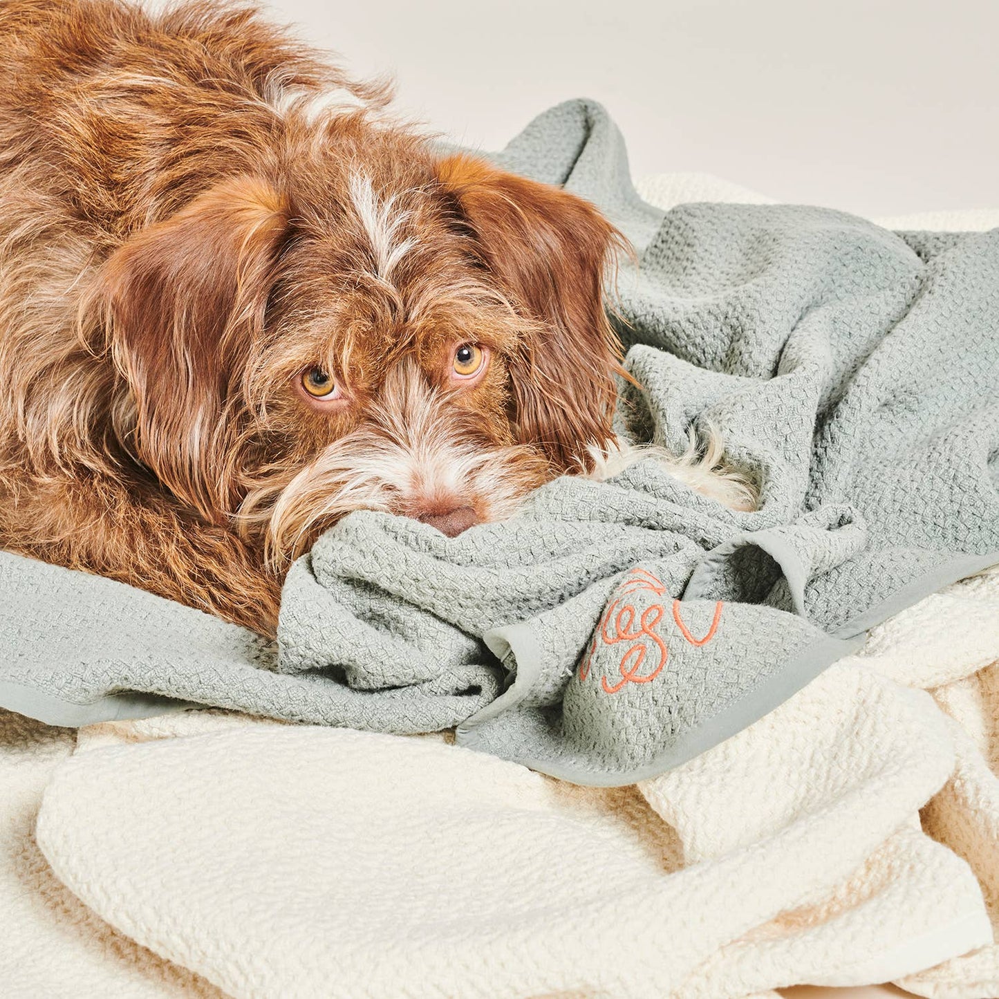 Organic-Cotton Dog Blanket - Grey