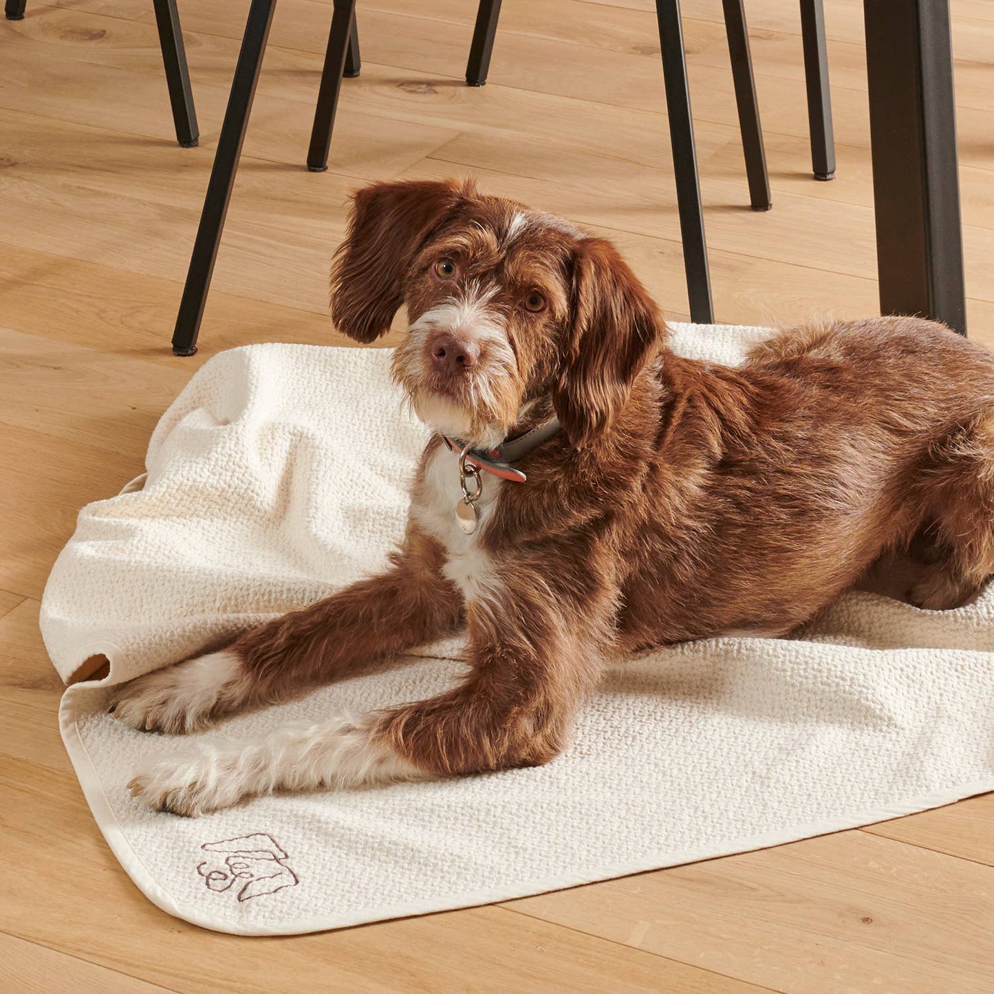 Organic-Cotton Dog Blanket - Mahogany