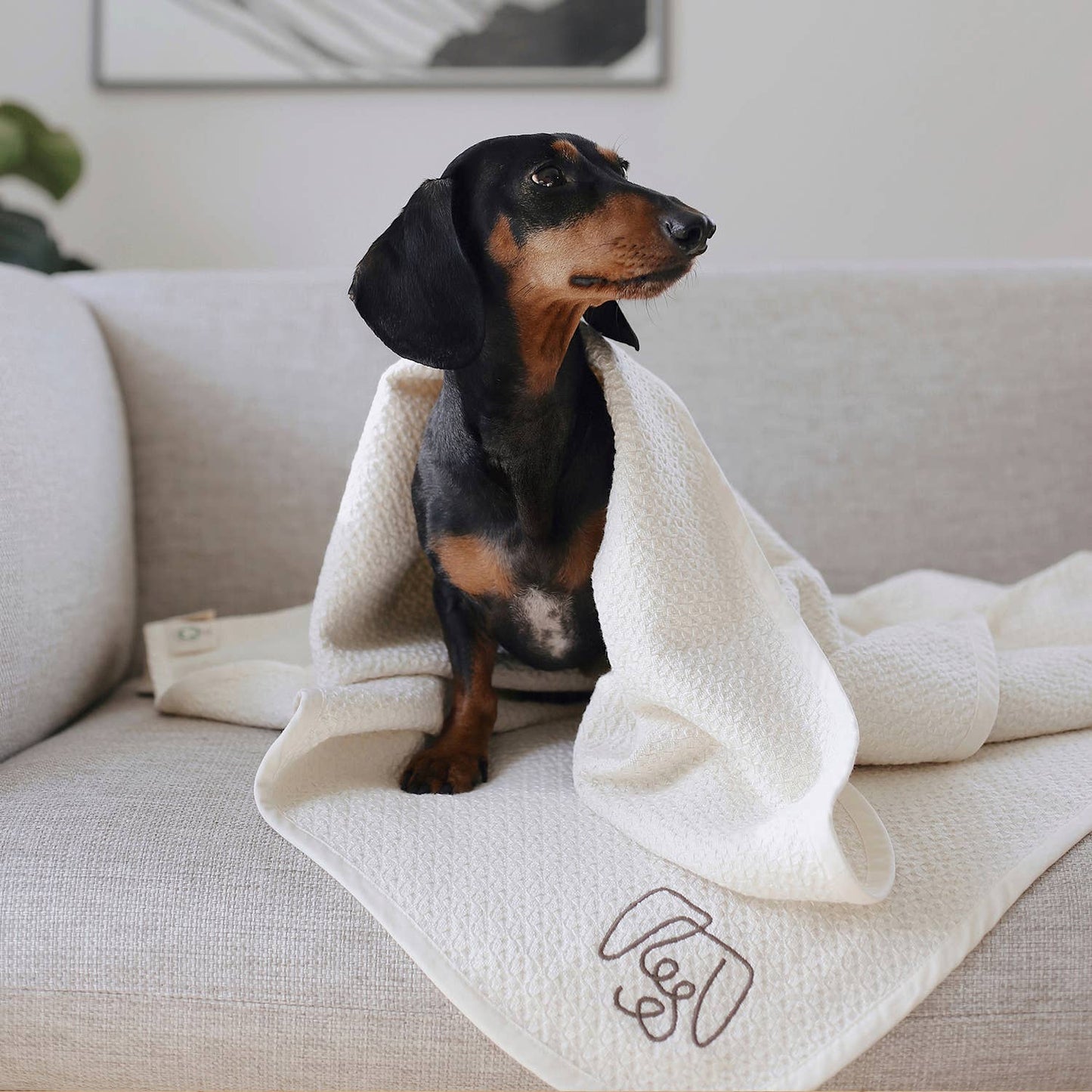 Organic-Cotton Dog Blanket - Mahogany