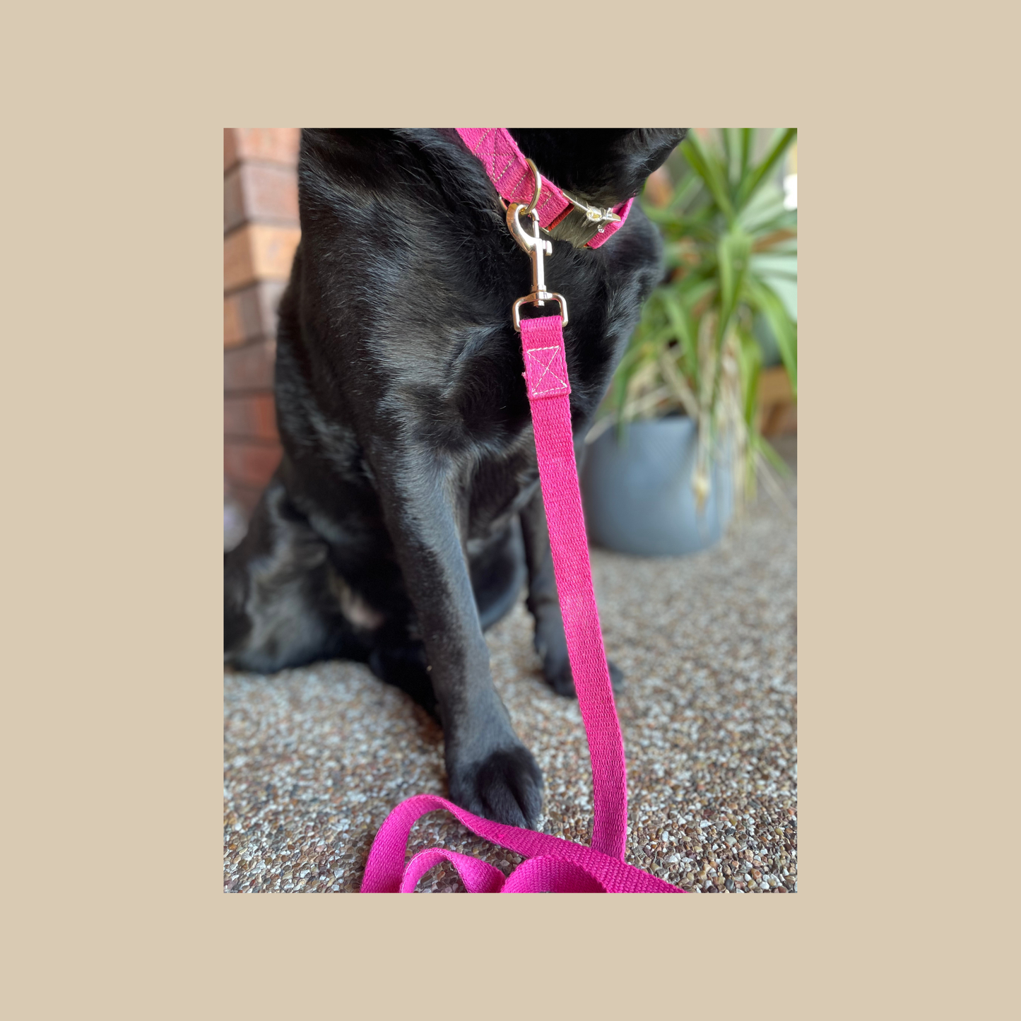 Hemp leash - Pink