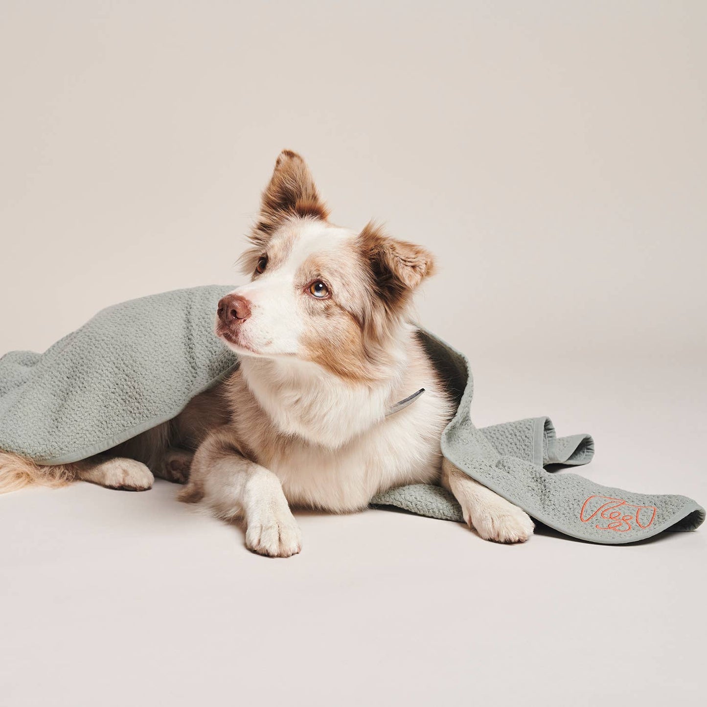 Organic-Cotton Dog Blanket - Grey